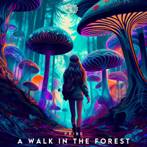 Listen to A Walk In The Forest song with lyrics from Pribe