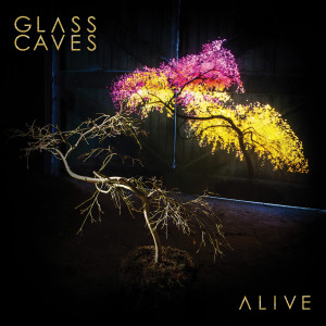 收听Glass Caves的Tonight歌词歌曲