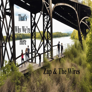 อัลบัม That's Why We're Here ศิลปิน Zap