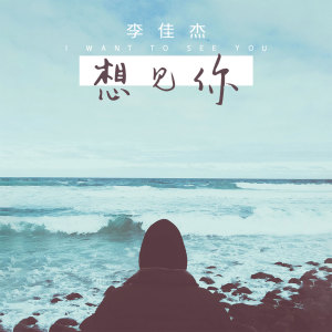 Listen to 想见你 (伴奏) song with lyrics from 李佳杰
