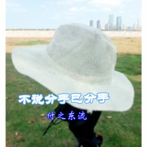 Album 不说分手已分手 oleh 付之东流