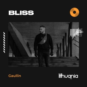 收聽Gaullin的Bliss歌詞歌曲