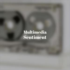 Various的专辑Multimedia Sentiment