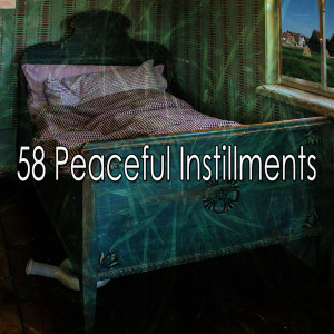 收听Sleep Sounds of Nature的Freed from Insomnia歌词歌曲
