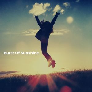 อัลบัม Burst of Sunshine ศิลปิน The White Noise Zen