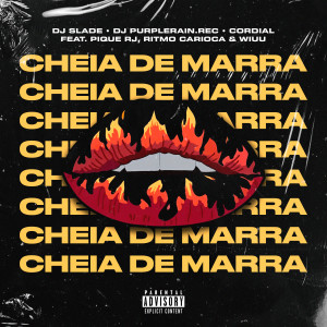 ดาวน์โหลดและฟังเพลง MTG Cheia De Marra (feat. PIQUE RJ, Wiuu & RITMO CARIOCA) (Explicit) พร้อมเนื้อเพลงจาก DJ Slade