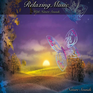 收聽Nature Sounds的Naturally Aware歌詞歌曲