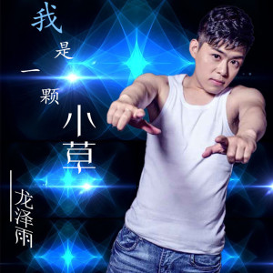 收听龙泽雨的我是一棵小草歌词歌曲