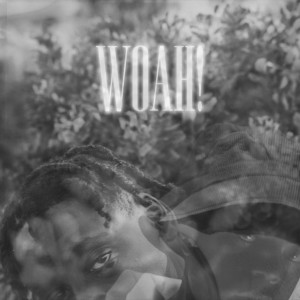 Listen to Woah! (Explicit) song with lyrics from Marquisté