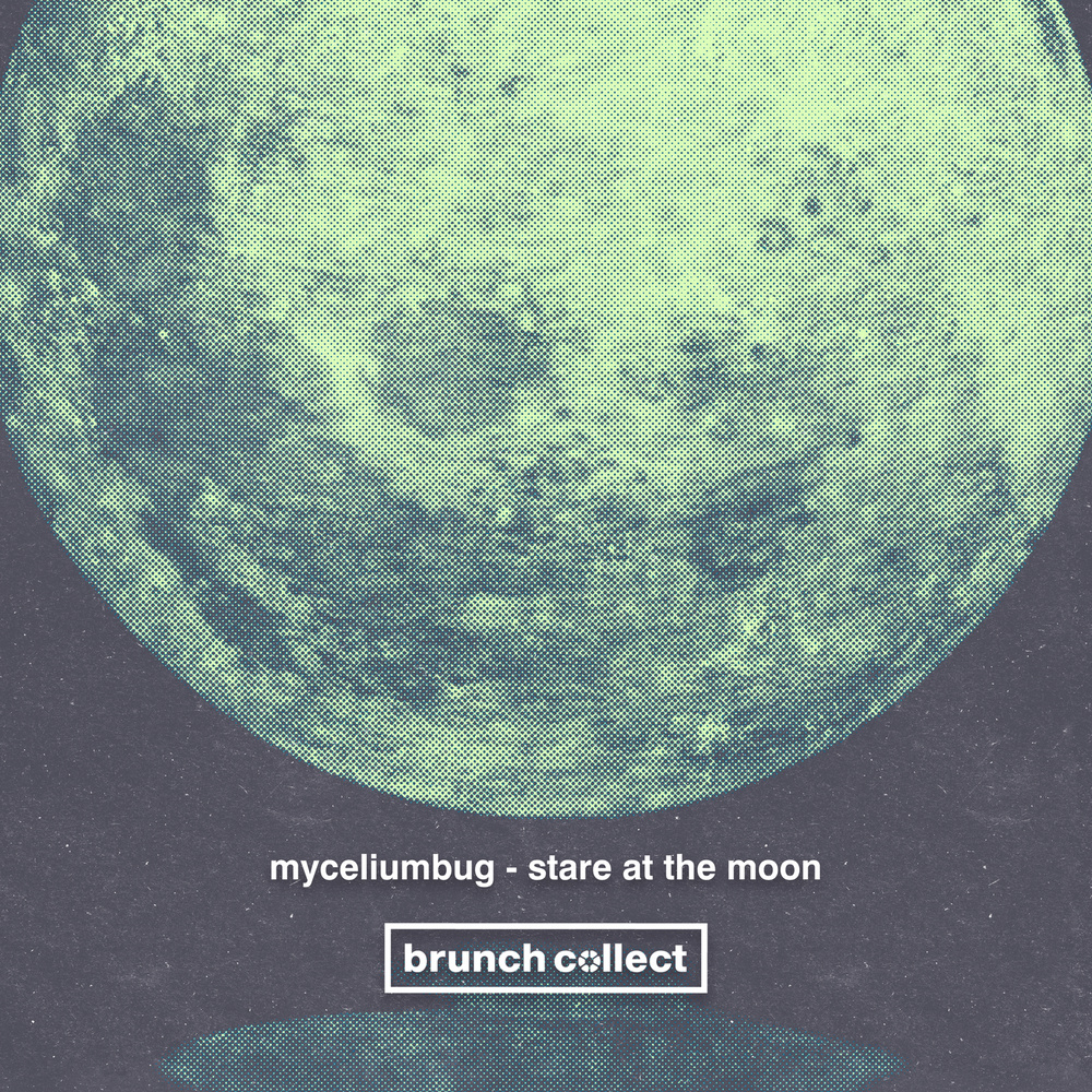 Stare at The Moon