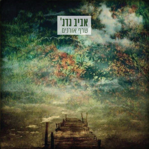 收听אביב גדג׳的Shketa Kmo Maim歌词歌曲