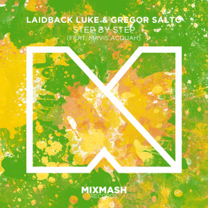 Laidback Luke的專輯Step By Step/Shine Your Light