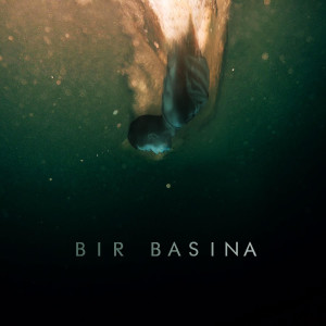 Album Bir Başına from Erdem