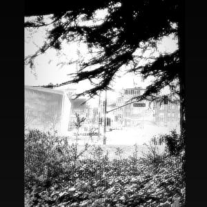 Jsu.的專輯Unreal (feat. White T) (Explicit)