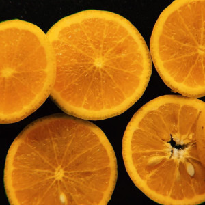 default album img