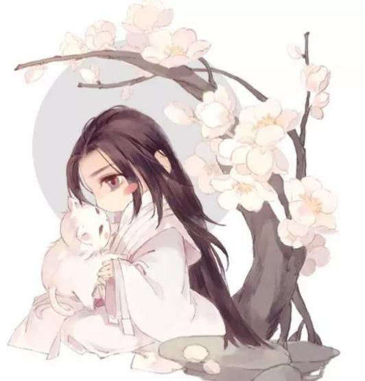 爱吃土豆粉