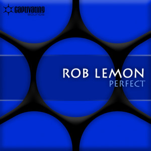 ดาวน์โหลดและฟังเพลง Perfect (Yvan & Dan Daniel Remix) พร้อมเนื้อเพลงจาก Rob Lemon