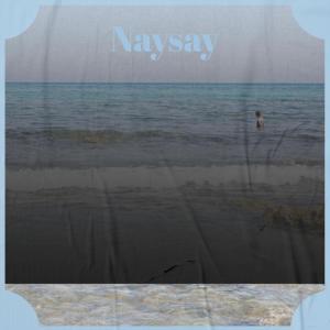 Album Naysay from Various