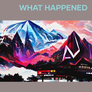 Album What Happened from Rizki