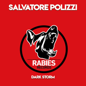 Album Dark Storm oleh Salvatore Polizzi