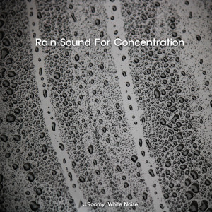 Listen to Rain Sound For Concentration (ASMR, Nature Sound) song with lyrics from J.Roomy
