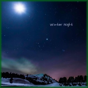 收听레온 LEON的Winter Night歌词歌曲