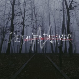 收听NAN的Detailed Dreamer歌词歌曲