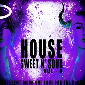 Various Artists的專輯House Sweet N' Sour, Vol. 8
