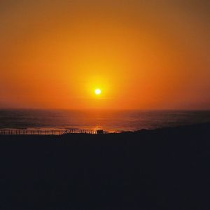 Album Hammock from Drxnk