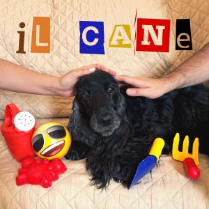 Album Il cane from 