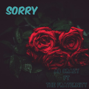Listen to Sorry song with lyrics from AB Crazy