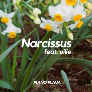 Album Narcissus (feat. eilie) from PIANO FLAVA
