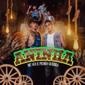 Listen to Aninha (Explicit) song with lyrics from MC Gui