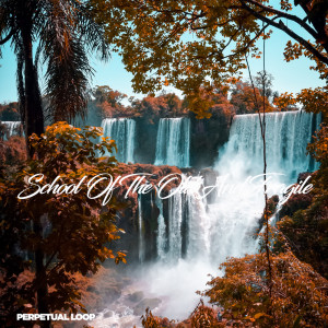 Listen to School Of The Old And Fragile song with lyrics from Perpetual Loop
