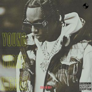 Soulja Boy Tell 'Em的專輯Young Turnt Niggaz (Explicit)