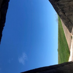 Listen to Mcflurry (Explicit) song with lyrics from Young Wabo