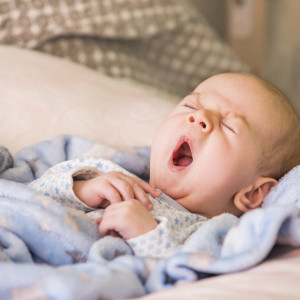 收聽Nature Sounds Baby Sleep的Bird Song歌詞歌曲