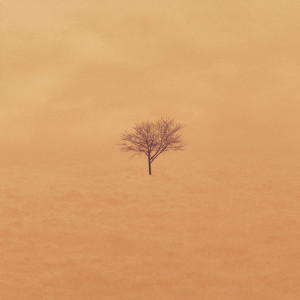 Listen to Waiting song with lyrics from Aftertheparty