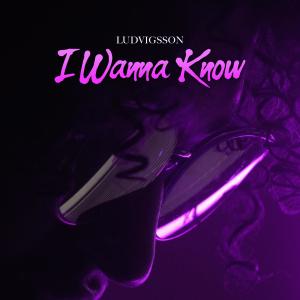 收聽Ludvigsson的I Wanna Know歌詞歌曲