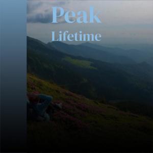 Listen to Peak Lifetime song with lyrics from Ctha Pada