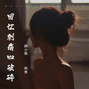 收听阿秀的回忆刺痛心破碎 (伴奏)歌词歌曲