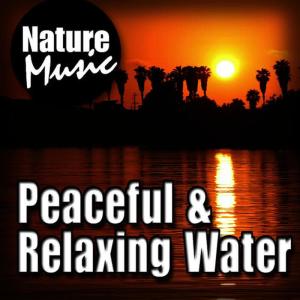 收聽Nature Music的Fresh Air - Relaxing and Rhythmic Oceanside歌詞歌曲