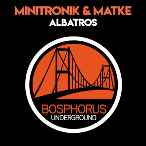Album Albatros from Minitronik