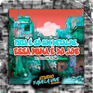 Album PUTA É SÓ UM DETALHE, ESSA MINA É DO JOB (Explicit) from 