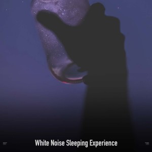White Noise Therapy的專輯!!!!" White Noise Sleeping Experience "!!!!