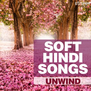 Various Artists的專輯Soft Hindi Songs Unwind