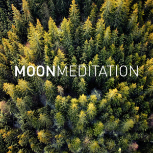 Album Deep Healing Sleep from Moon Tunes
