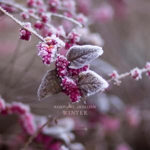 Album Winter from Arda Leen