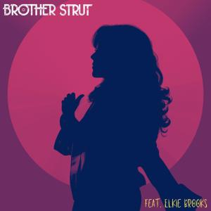 Album Ordinary Woman from Brother Strut