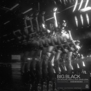 อัลบัม Big Black ศิลปิน Cat Dealers